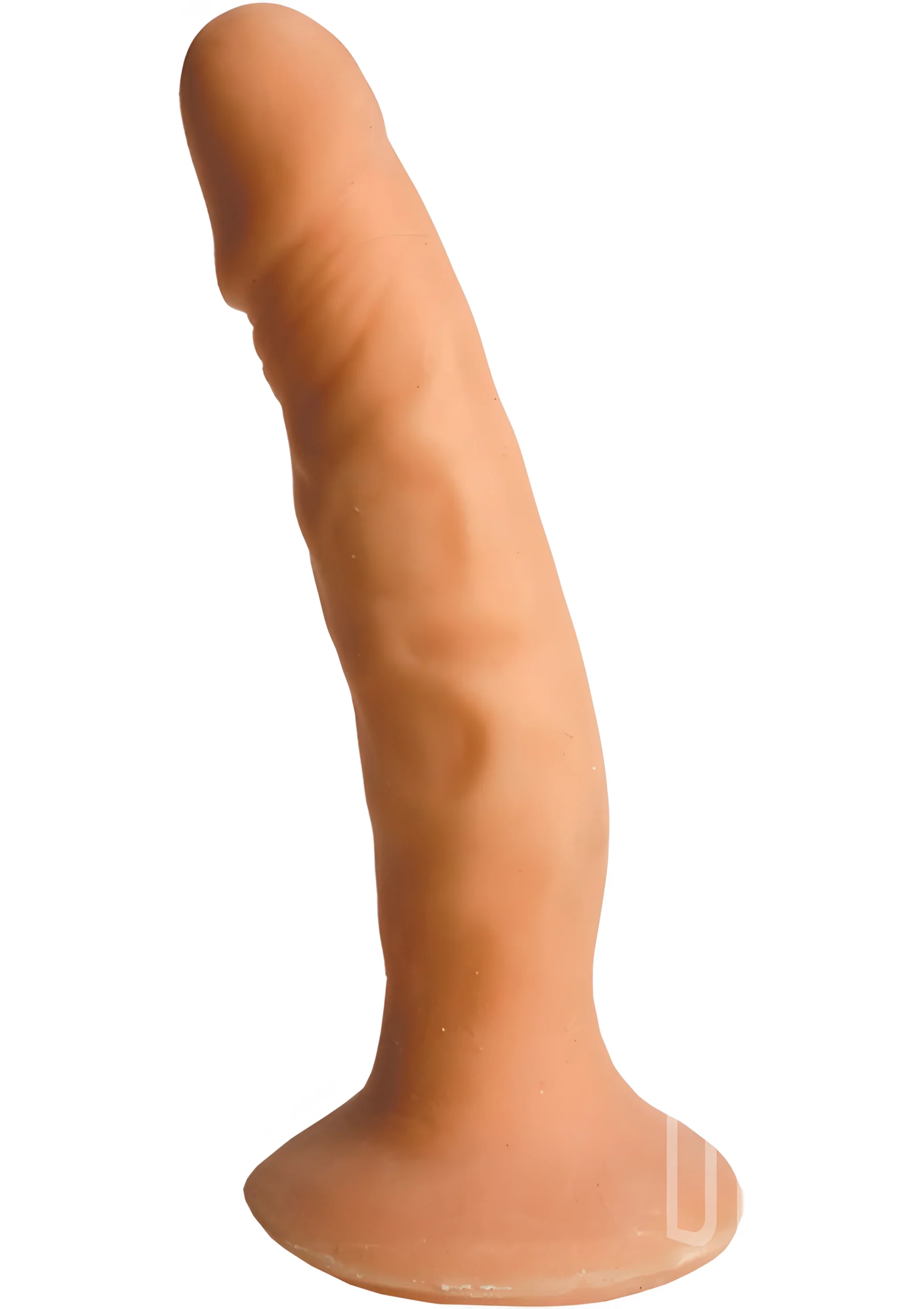 Latin Lover Harness With 8 Inch Dildo