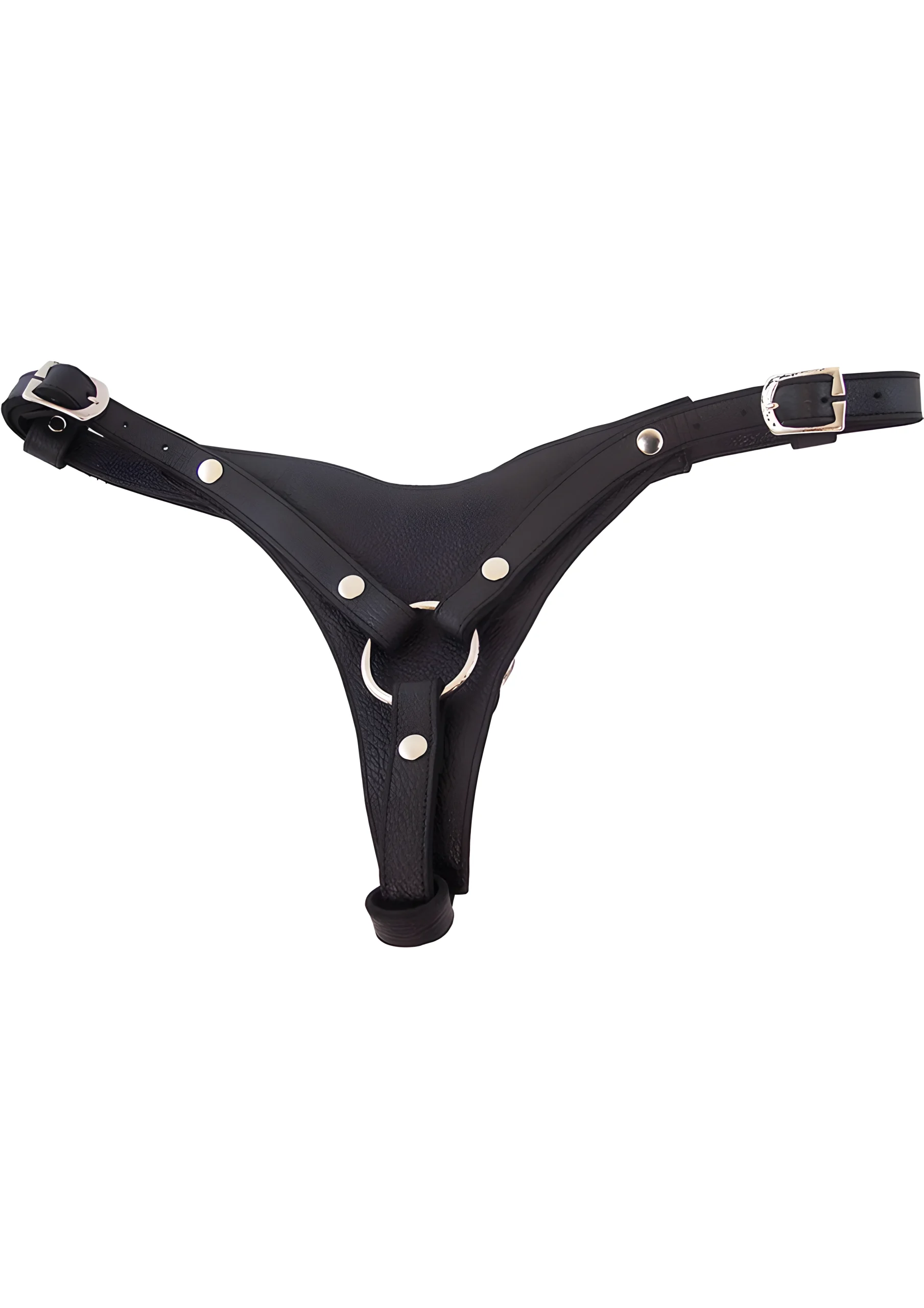 Rouge Dildo Harness