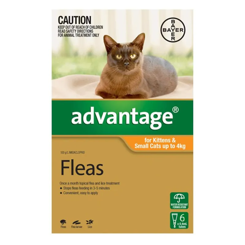 Advantage Kittens & Small Cats up to 4kg 6 Pack (Orange) Buy Online