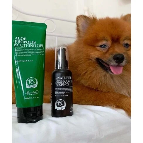 Benton Snail Bee High Content Skin Toner