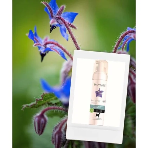 Biogance Organissime Cleansing Foam