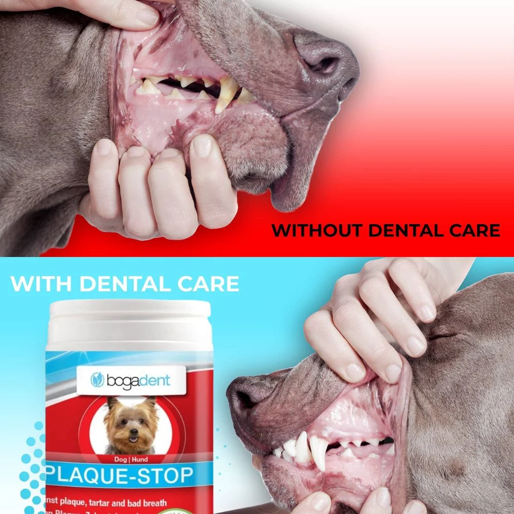 Bogar Bogadent Plaque-Stop Natural Powder for Dog