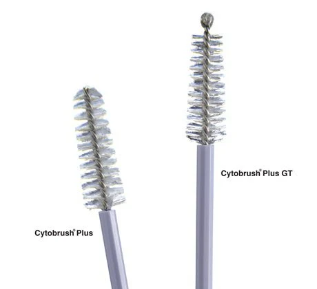 Cytobrush Plus Gt Cytology Brush