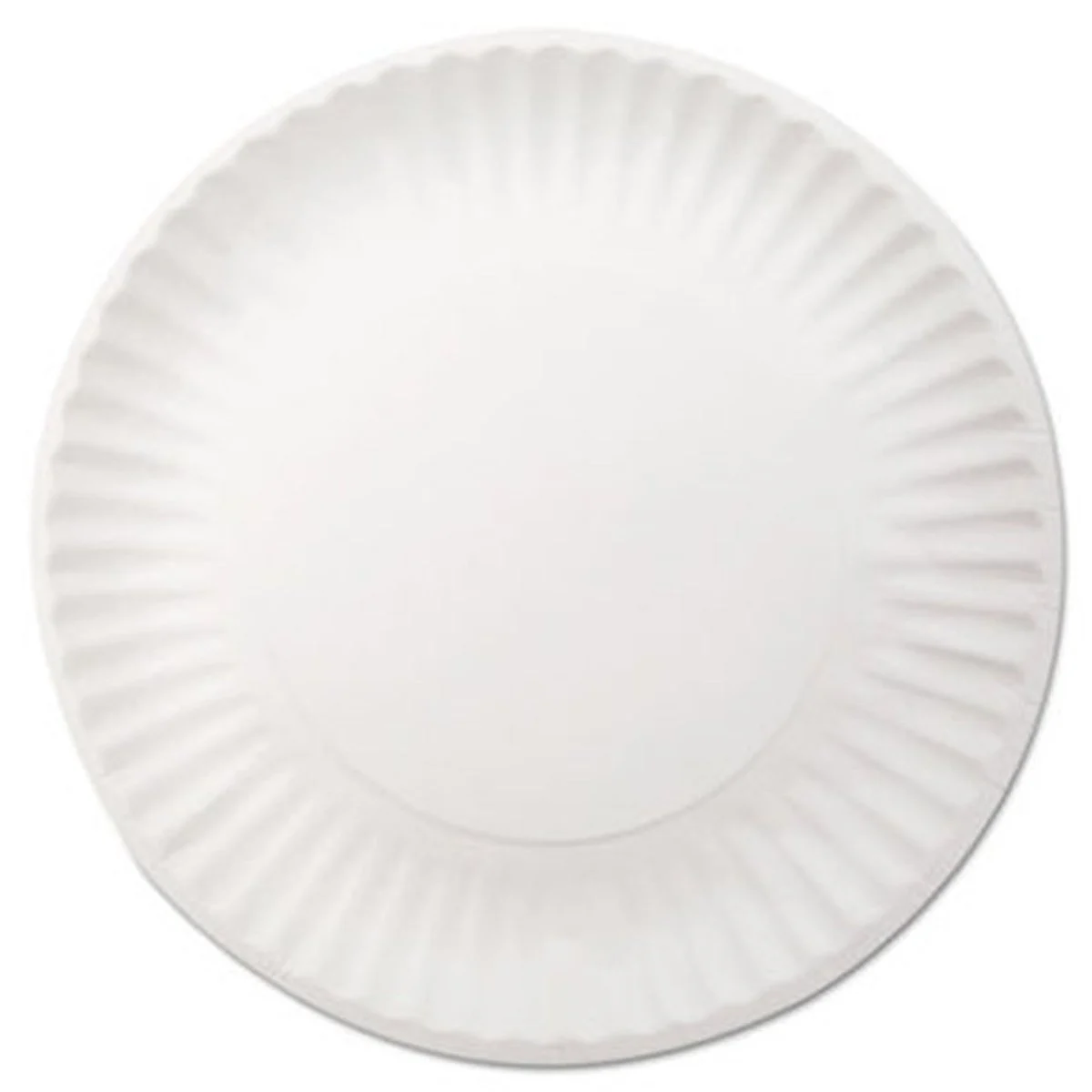 Dixie Paper Plate