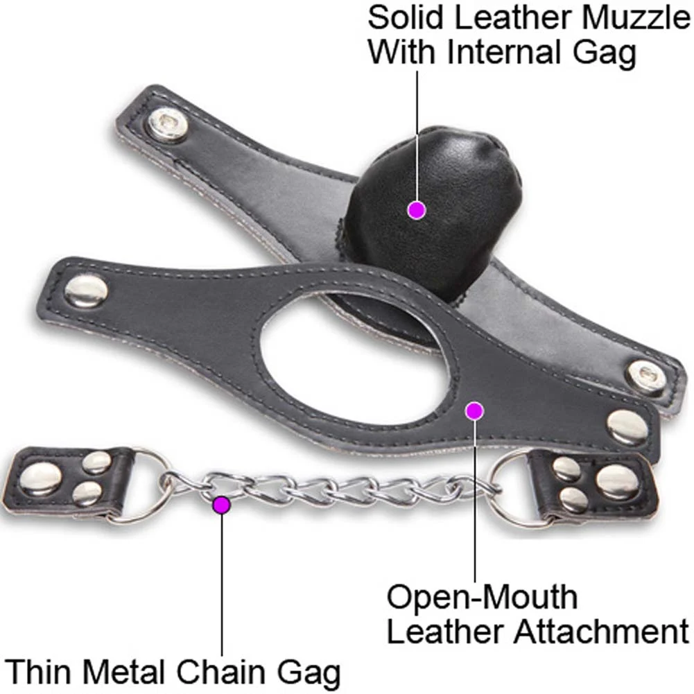 Fetish Fantasy Extreme Interchangeable Gag, Black