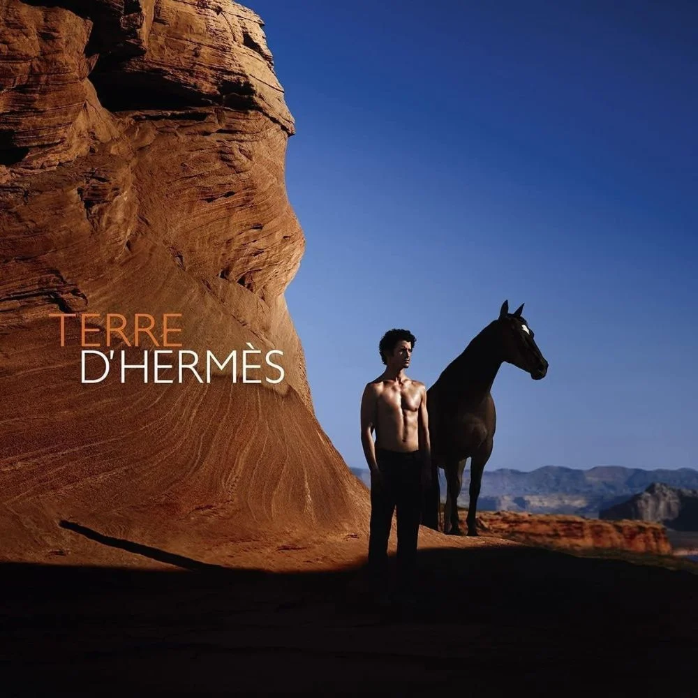 Hermès Terre D'Hermès Eau Intense Vétiver for Man