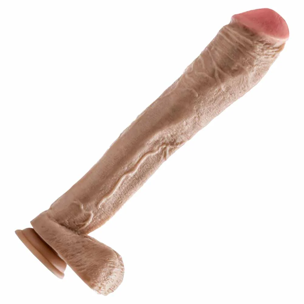 Hung Rider Realistic Dong with Balls and Suction Cup, 13", Lil John