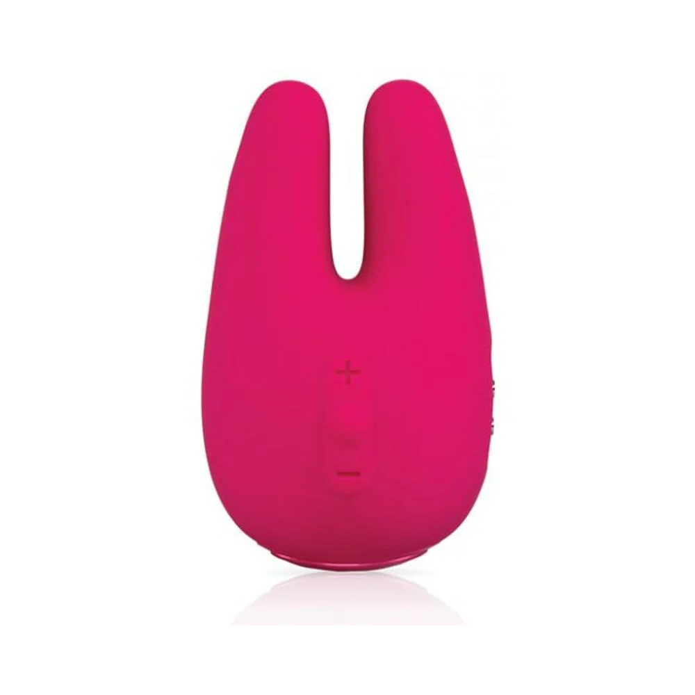 Jimmyjane Form 2 Pro