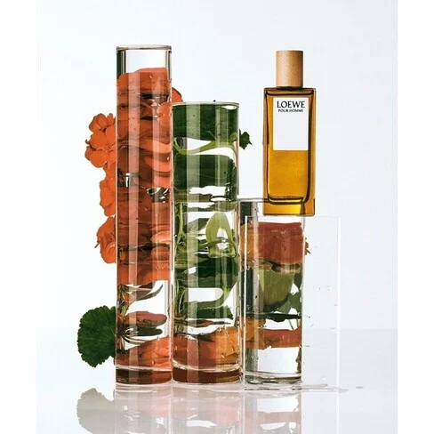 Loewe Pour Homme Eau de Toilette for Men