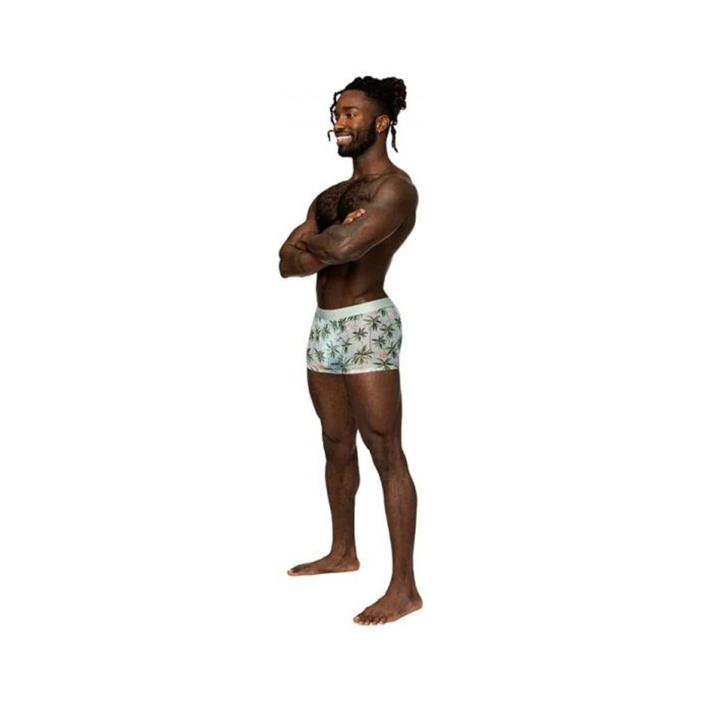 Male Power Sheer Prints Seamless Sheer Short Flamingo