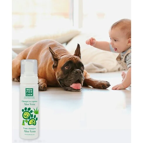 Men for San Foam Shampoo with Aloe Vera