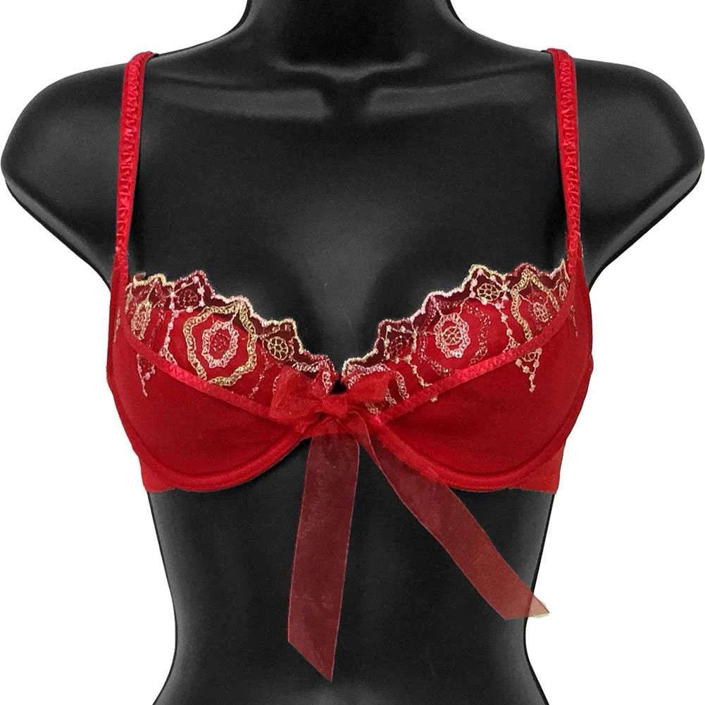Necessary Objects of the Nile Lined Underwire Bra, 32A, Red