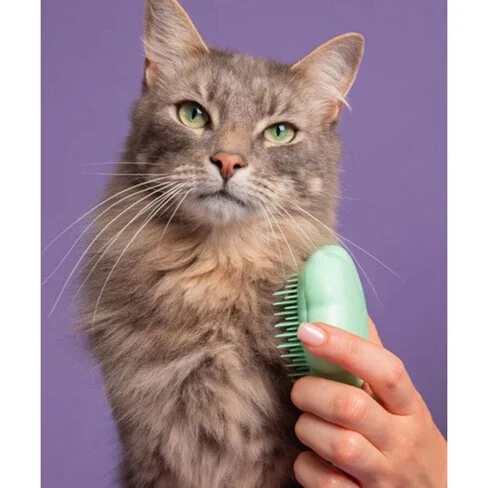 Pet Teezer Cat Brush Short / Medium Hair