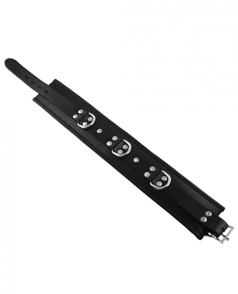Rouge Padded Leather 3 D-Ring Collar Black