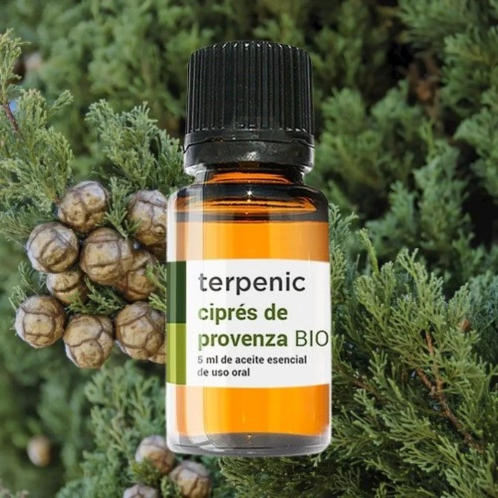 Terpenic BIO Cypress of Provence Essential Oil - Lymphatic Decongestant
