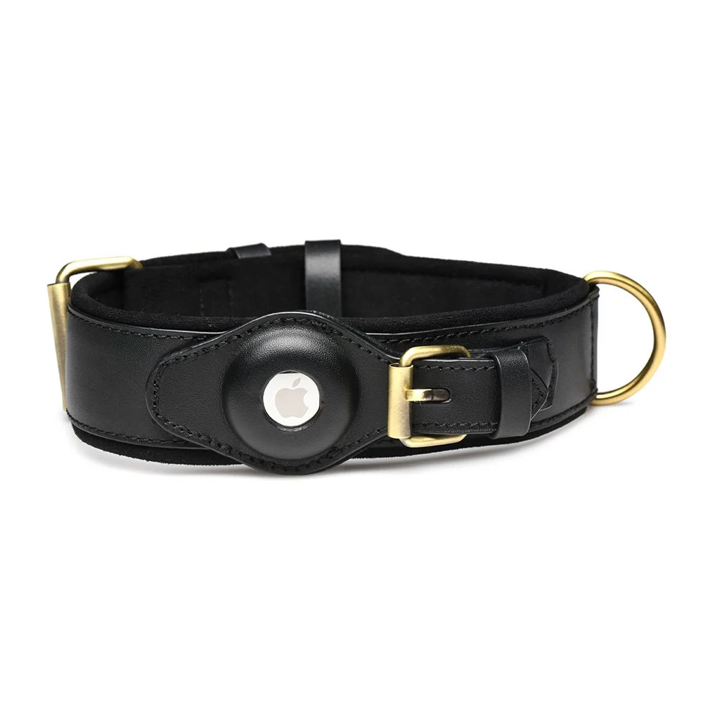 Tracer Tracking Collar